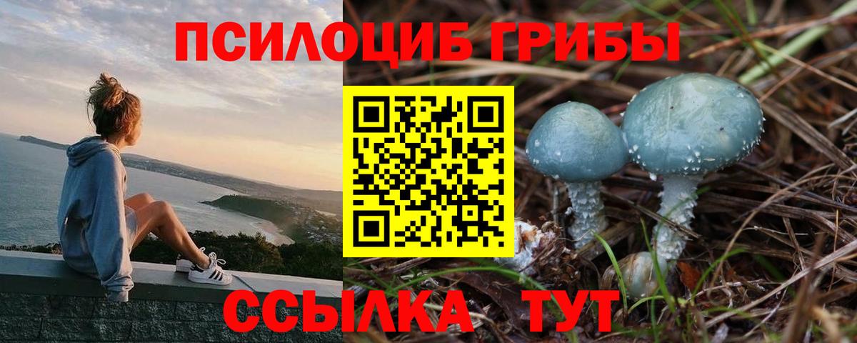 Тавда  Псилоцибиновые грибы Magic Shrooms  Вход с VPN 